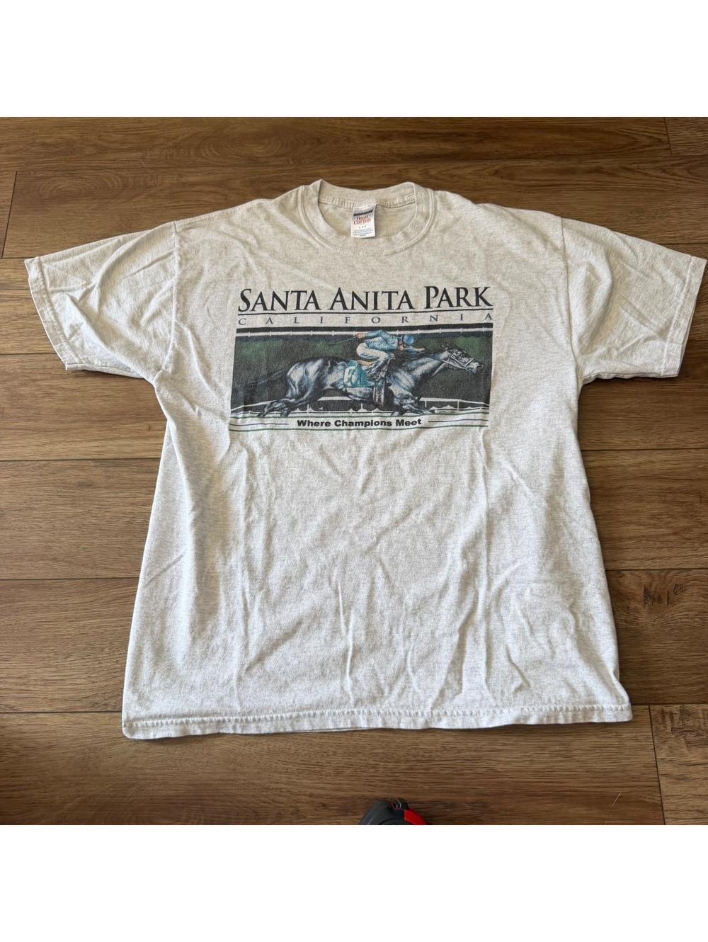 Vtg 90s Santa Anita Park Spectacular Bid T Shirt L